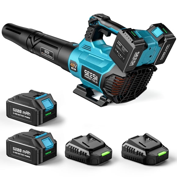 Soplador de hojas inalámbrico Seesii 40V 600CFM 160MPH con 2 baterías