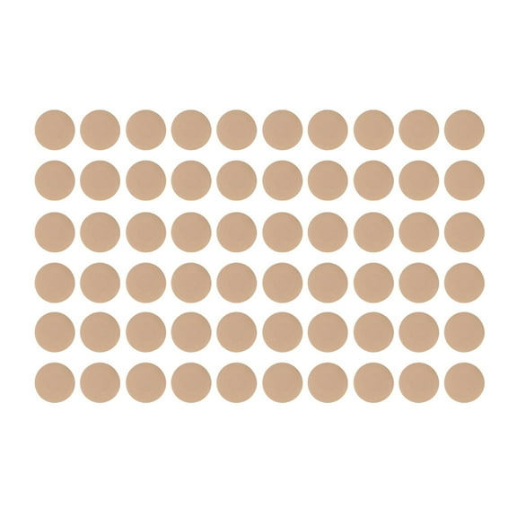 TELOLY 60Pcs Nipple Covers for Women,Disposable Nipple Covers,Nipple Covers for Women with Lift