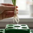 thumbnail image 4 of Hydroponic Growing System, Indoor Vegetable Growing System, 12X8inPlastic Tray, Water Reservoir, Tiered Planting Stations, Green, 1 Pc, 4 of 6