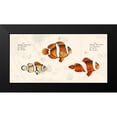 thumbnail image 2 of Lamanche, Stef 14x9 Black Modern Framed Museum Art Print Titled - Tropical fish I- After Bloch, 2 of 5
