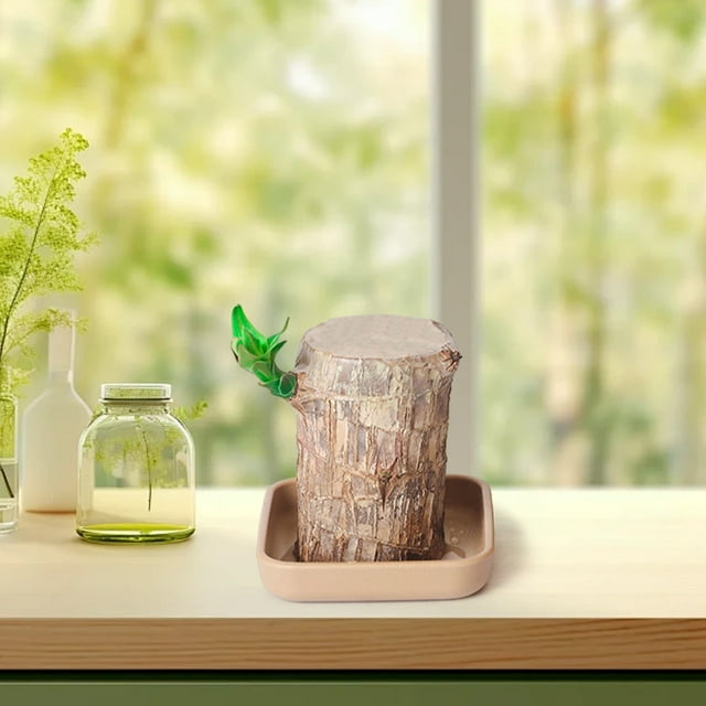 Fiudx Palet de Madera Brasileña, Diseño de Plástico Similar a La Cerámica, Ligero y Duradero, Bandeja Multiusos para Frutas, Aperitivos y Té, Ideal para Fiestas y Reuniones En Casa, Fácil de Limpiar,