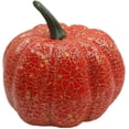 thumbnail image 5 of Set of 10 Pumpkins & Gourds Harvest Decorations - Great for Table Decor and Festive Baskets!, 5 of 6