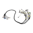 thumbnail image 2 of Arnés De Cableado Del Motor -0BD1-1 Reemplazo -series OBD1 shamjiam  Arnés de cableado del motor, 2 of 8