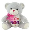 Way To Celebrate Mother’s Day Plush Embroidered Bear, Grey