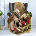thumbnail image 4 of Pug Soft Flannel Fleece Throw Blanket, Sibling Puppies with Floral Arrangement in Front Wooden Backdrop, Cozy Plush for Indoor and Outdoor Use, 60" x 80", Fern Green Eggshell, by Ambesonne, 4 of 5