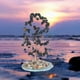 thumbnail image 5 of Árbol del Dinero de Cristal Curativo | Bonsái Feng Shui con Cuarzo Rosa Natural | Decoración para la sanación de chakras, riqueza, prosperidad y buena fortuna | Decoración para oficina, sala de, 5 of 7