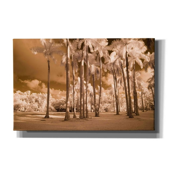 Epic Graffiti 'Florida Palms' by Jadei Graphics, Canvas Wall Art, 40"x26"