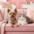 thumbnail image 5 of Mumup 3Pack Small Dog Collars Bling Puppy Collars Diamond Pet Collars PU Leather Sparkly Rhinestone Glitter Adjustable Jewelry Neck Collars for Small Pet, 5 of 7