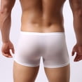 thumbnail image 3 of Pantalones planos para hombre, ropa interior transparente, pantalones de cuatro patas de seda de hielo transparente para hombre, ropa interior sexy con nariz de elefante, 3 of 5