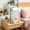 A, variant on Stand-Up No-Pump Vacuum Storage Bags, Press-Seal Reusable Compression Bags Space Saver for Clothes Bedding Closet Home Organization