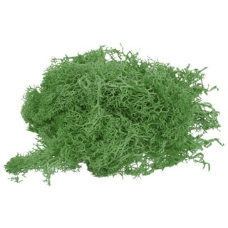 Jokapy Preserved Moss for Crafts Reindeer Moss Artificial Moss for Wall Art, 7oz, Green