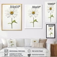 thumbnail image 4 of Designart "Sublime Simplicity with White Daisies I" Floral Floater Framed Wall Art Living Room, 4 of 7