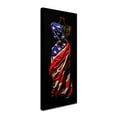 thumbnail image 3 of Trademark Fine Art "American Dress" Canvas Art by Roderick Stevens, 3 of 4
