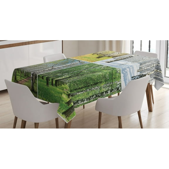 Ambesonne Forest Tablecloth Rectangular Table Cover, Fall Winter Birch Tree, 60"x84", Green White