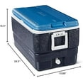 thumbnail image 7 of Maxcold 70 Quart Ice Chest, 7 of 7