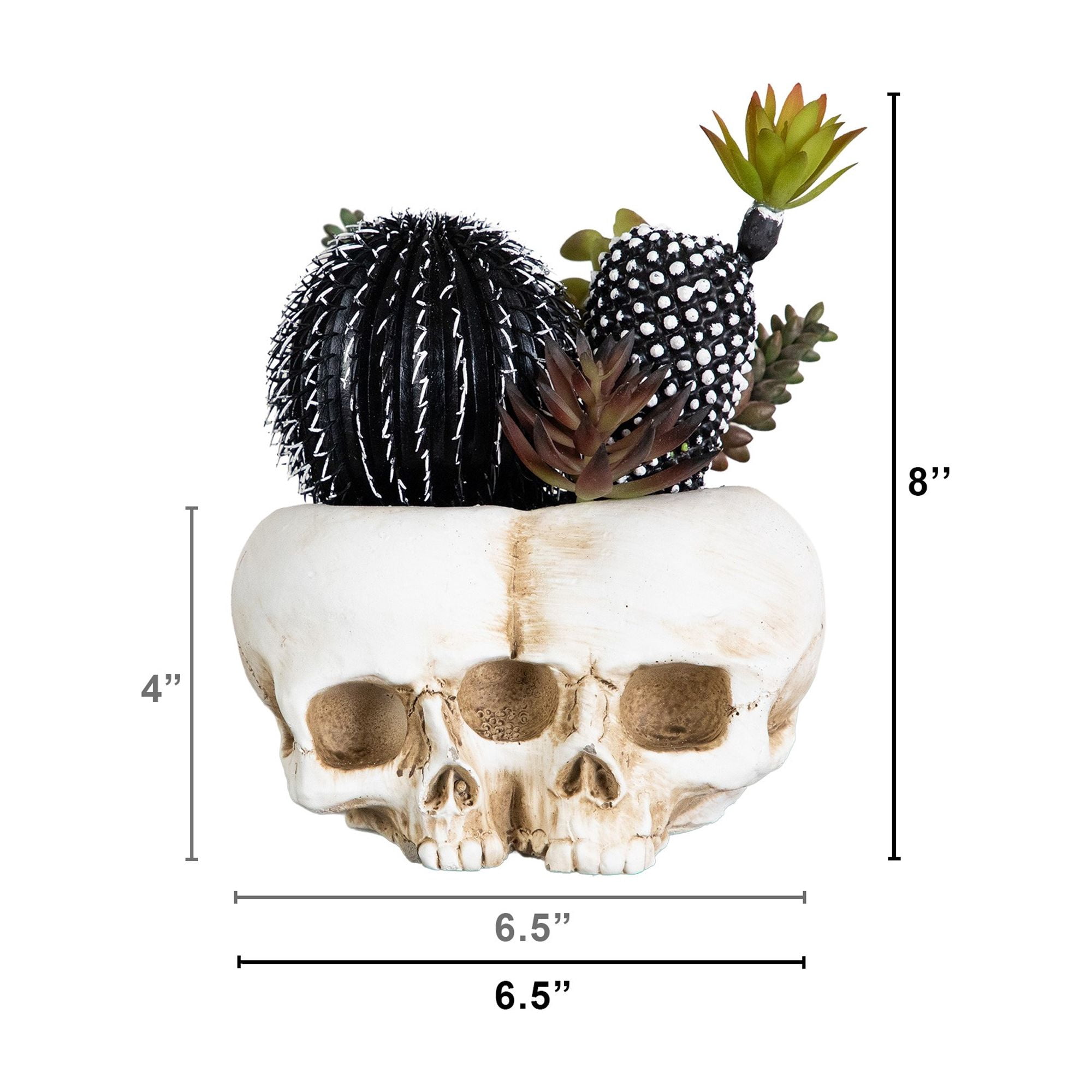 8in. Artificial Halloween Succulent Garden in Double Skull Planter