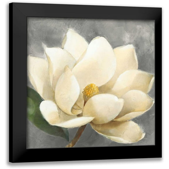Hristova, Albena 12x12 Black Modern Framed Museum Art Print Titled - Magnolia Blossom on Gray