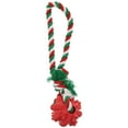 thumbnail image 1 of Vibrant Life Rubber Ball with Rope Dog Toy, 1 of 2