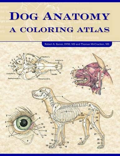 Pre-Owned Dog Anatomy: A Coloring Atlas (Paperback) 1893441172 9781893441170