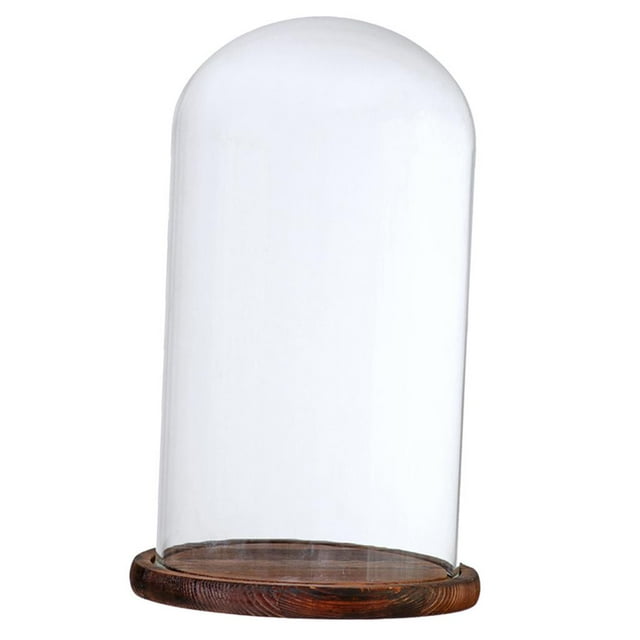 veasfak Glass Cover Flower Cake LED Light Display Dome Cloche Jar Display Holder - Brown Brown G