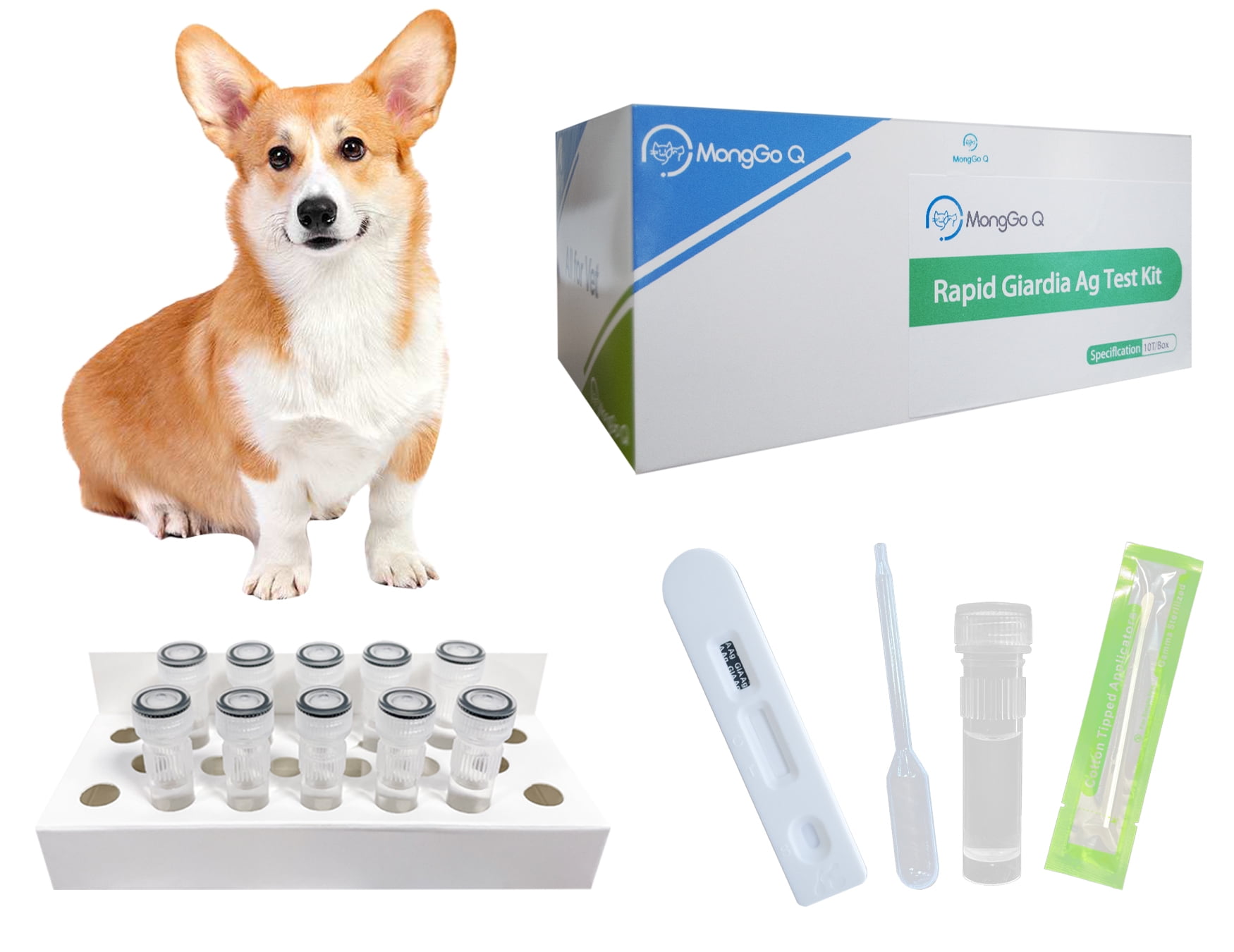 How Can I Treat My Dog For Giardia At Home