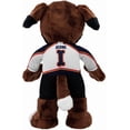 thumbnail image 3 of Bleacher Creatures Colorado Avalanche Bernie 10" Plush Figure- A Mascot for Play or Display, 3 of 6