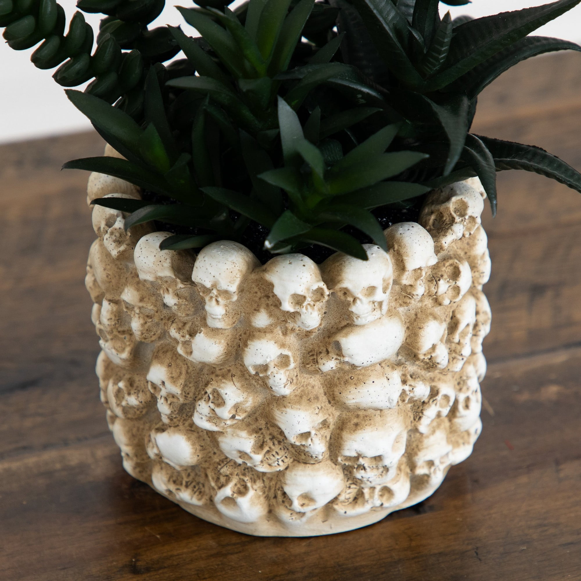 9in. Artificial Halloween Succulent Garden in Gothic Skull Planter