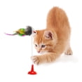 thumbnail image 3 of Juguete para Gatos Lechón Ratón Falso Gatos Gatito Interactivos, 3 of 9