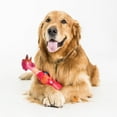 thumbnail image 5 of Latex Chicken Dog Toy, 5 of 5