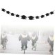thumbnail image 5 of WHAMVOX Banderines Photo Banner Con Birrete Negro Para De Fiesta Y Ceremonia De Graduación, 5 of 8