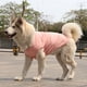 thumbnail image 1 of Nvzi Chaleco transpirable para perros y gatos, sudadera para cachorros, ropa para perros, abrigos para perros pequeños, medianos y gatos, XS, A27, 1 of 4