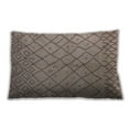thumbnail image 1 of Ahgly Company Outdoor Rectangular Mid-Century Modern Lumbar Throw Pillow, 13 inch by 19 inch, 1 of 5