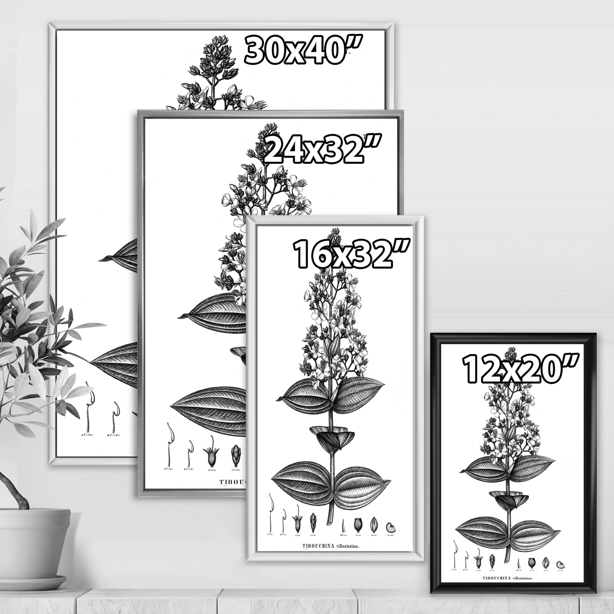 Designart 'Ancient American Flora VI' Traditional Framed Canvas Wall Art Print