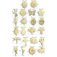 thumbnail image 2 of 10pcs Wooden Easter DIY Rabbit Frangipani Beetle Snail Owl Gecko Butterfly Small Pendant Ornament, 2 of 8