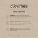 thumbnail image 4 of Aceite Esencial De Clavo | 50 ml | Ingredientes Puros y Naturales | Clove Tree Essential Oil | B Life., 4 of 7