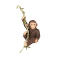 thumbnail image 3 of Colgadores de animales para jardín, decoración de resina, adornos artesanales, regalo, decoración creativa para jardín. Orangután, 3 of 8