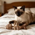 thumbnail image 5 of Catnip and Silvervine Chew, Natural Fishbone Chew Toy for Cats, Fishbone-Shaped Cat Dental Toy for Chewing, Licking, Pawing, Boredom Relief & Enrichment for Cats&nbsp;, 5 of 7