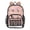 Green Palm Tree Pattern, variant on PVC Transparent Backpacks Clear Backpack for Travel and Outings Roses in Pink and Gray Tones
