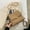 Khaki, variant on French Retro Women's Bag 2025 New Versatile High-Quality Texture Single Shoulder Crossbody Small Square Bag