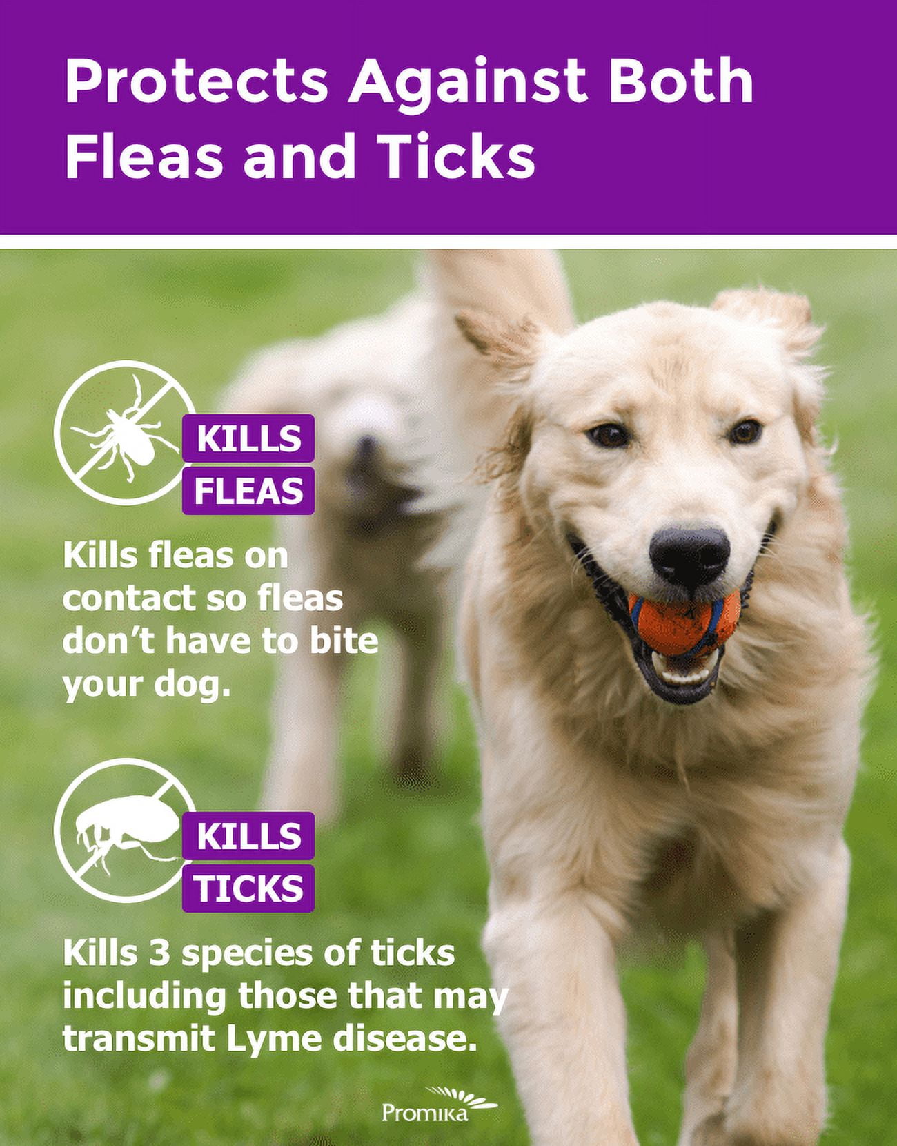Salvo Flea u0026 Tick Prevention Collar for Large Dogs, 12 Month Protection -  Walmart.com