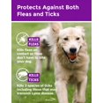 Salvo Flea & Tick Prevention Collar for Large Dogs, 12 Month Protection