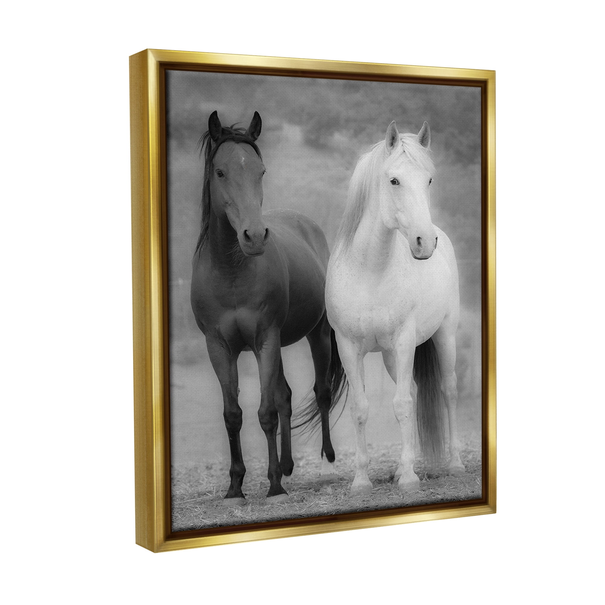 Stupell Industries White & Black Horses Animals & Insects Photography Gold Floater Framed Canvas Art Print Wall Art, 25 x 31