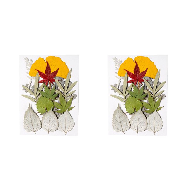 Matsuzay Hoja seca natural DIY Artesanía en relieve Hojas prensadas Decoración de belleza Postal decorativa para tarjetas de boda de Type2 NO2