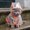 white, orange, variant on Waterproof Pet Raincoat EVA Lightweight Weather Protection Jacket for Dogs and Cats Outdoors