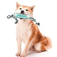 thumbnail image 2 of Perro juguete hormiga para masticar y Lea Food Molar Stick cepillo de dientes para mascotas, 2 of 3