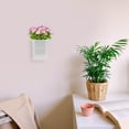 thumbnail image 2 of GOOHOCHY Accessories Hole Plate Flower Pot Pegboard Cup Holder Office 10.00X9.70X7.70CM, 2 of 8