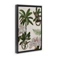 thumbnail image 3 of Stupell Industries Traditional Tropical Monkey Studies Black Floating Frame Canvas Art, 17 x 25, by Vision Studio, 3 of 8