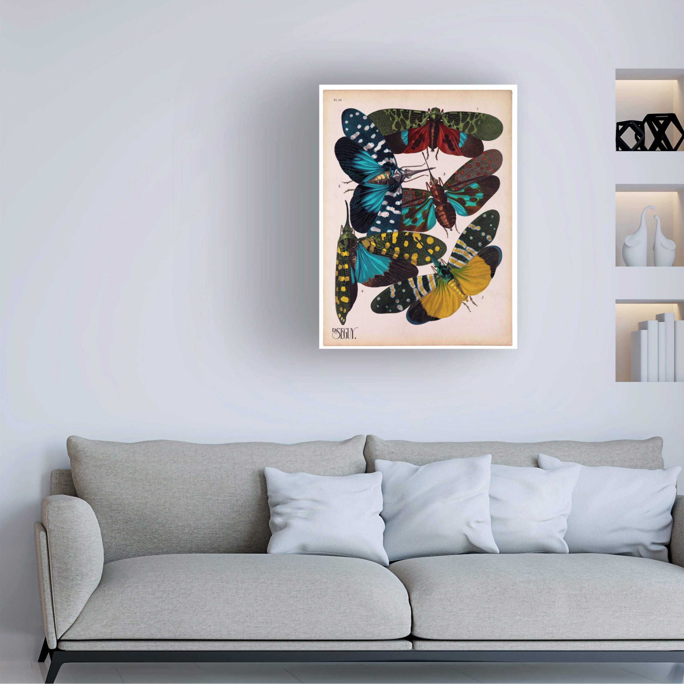 Trademark Fine Art Print Collection Insects Plate 8 Canvas Wall Art - 35x47