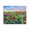Dahlia Meadow Bloom, variant on Stupell Industries French Country Sunflower Wonder Floral Meadow Black Floating Frame Canvas Art, 21 x 17, by Petals Prints Design