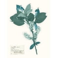 thumbnail image 3 of Vision Studio 15x18 Black Modern Framed Museum Art Print Titled - Pressed Flowers in Spa I, 3 of 5